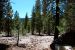 2013-06-30, 014, Devastated Area, CA