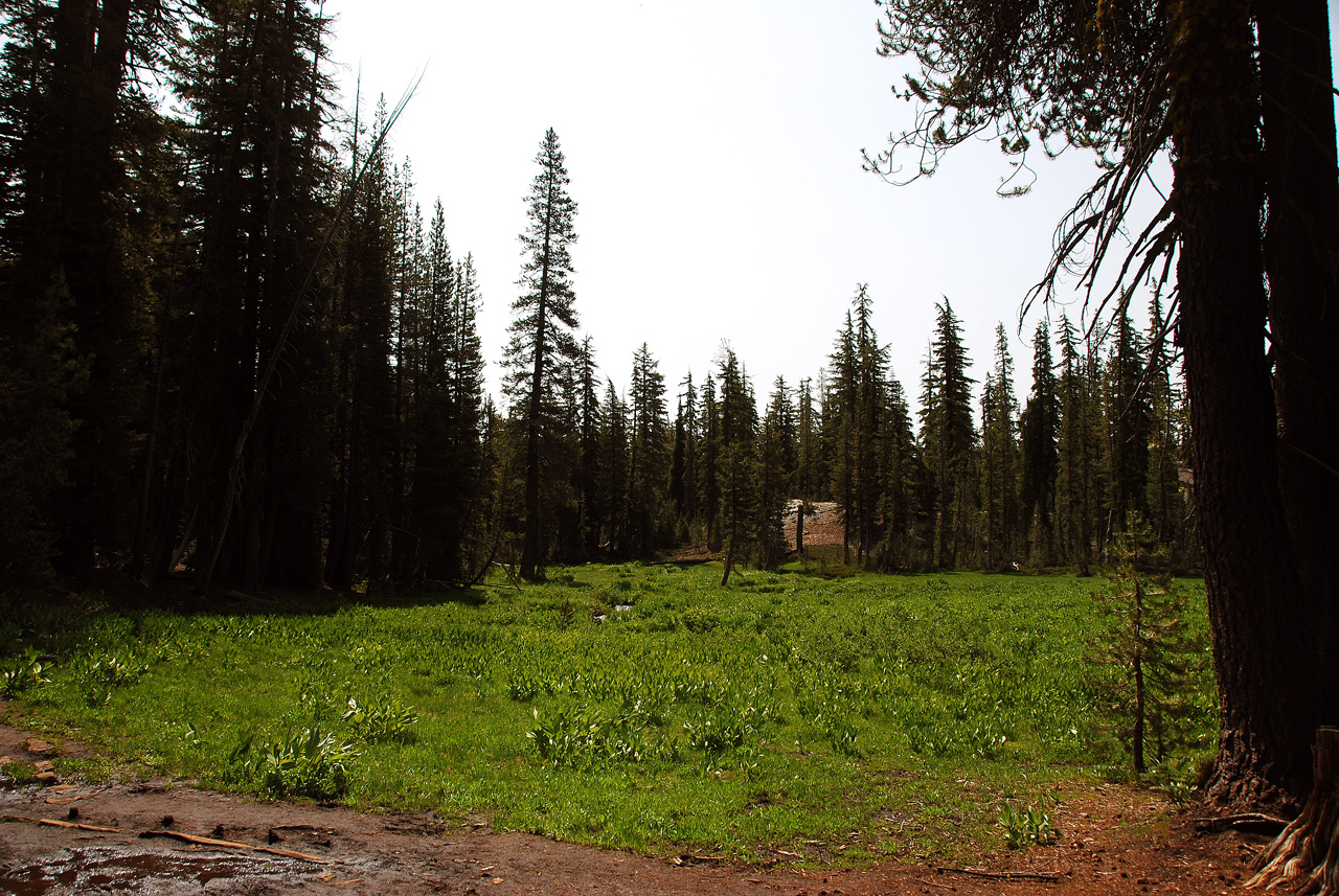 2013-07-01, 003, Kings Creek Falls, CA