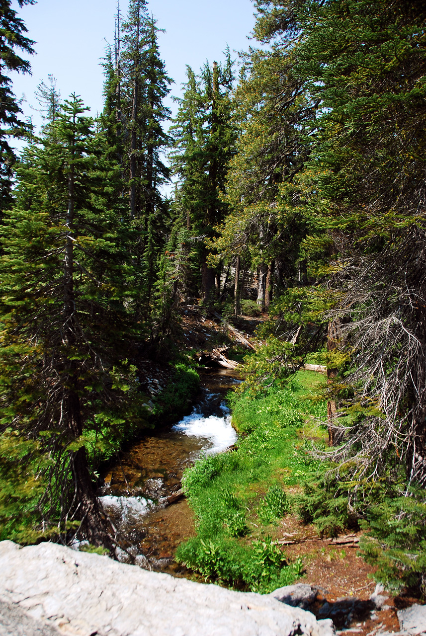 2013-07-01, 005, Kings Creek Falls, CA