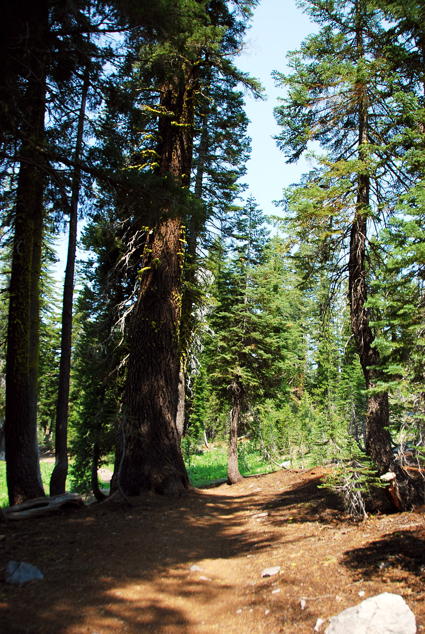 2013-07-01, 020, Kings Creek Falls, CA
