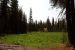 2013-07-01, 003, Kings Creek Falls, CA