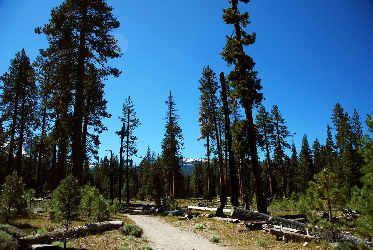 2013-06-30, 003, Manzanita Lake, CA