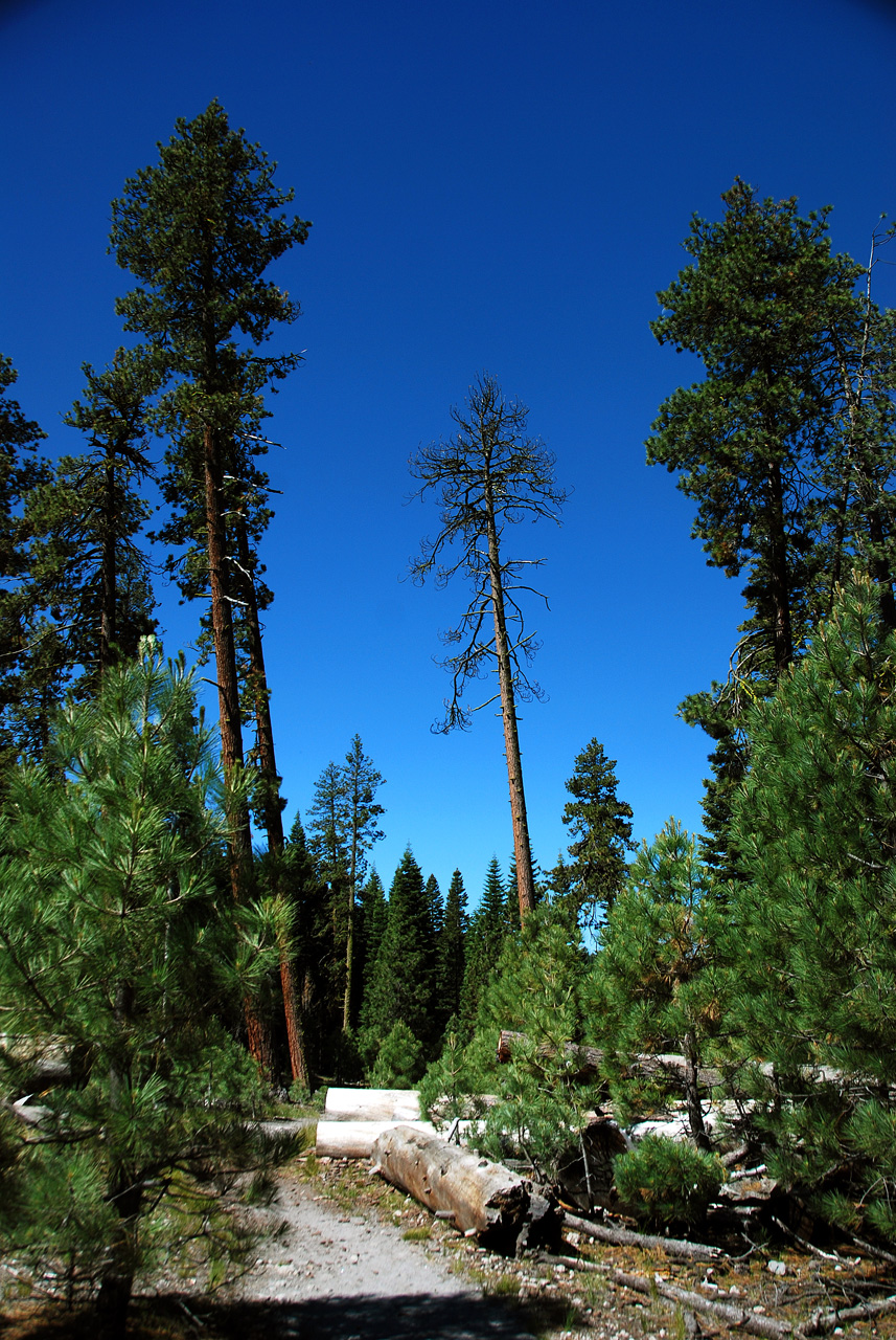 2013-06-30, 004, Manzanita Lake, CA