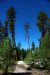2013-06-30, 004, Manzanita Lake, CA