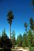2013-06-30, 005, Manzanita Lake, CA