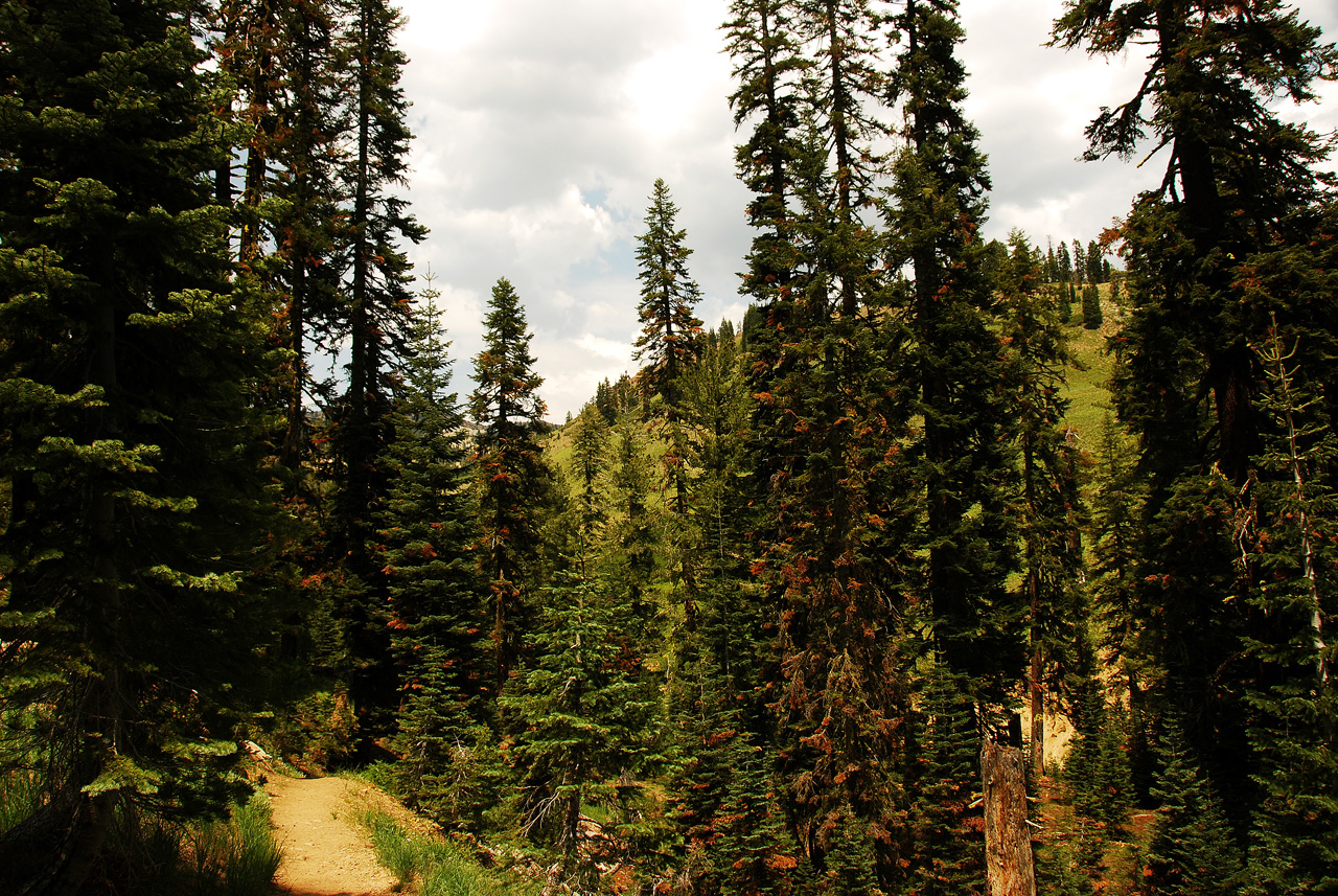 2013-07-02, 003, Mill Creek Falls Trail, CA