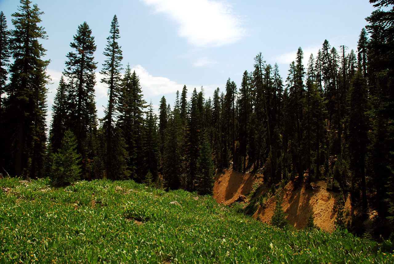 2013-07-02, 005, Mill Creek Falls Trail, CA