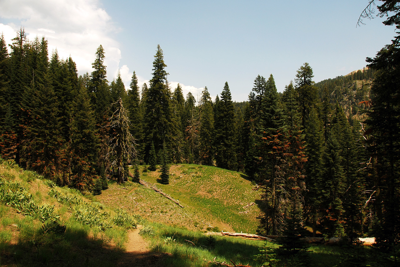 2013-07-02, 011, Mill Creek Falls Trail, CA