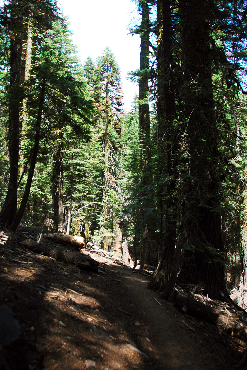 2013-07-02, 013, Mill Creek Falls Trail, CA