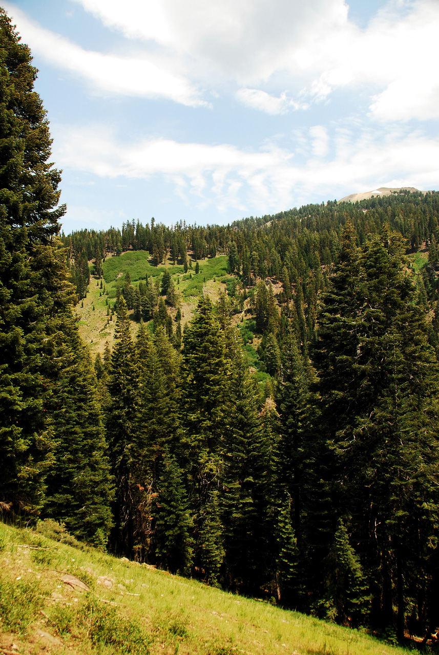2013-07-02, 014, Mill Creek Falls Trail, CA