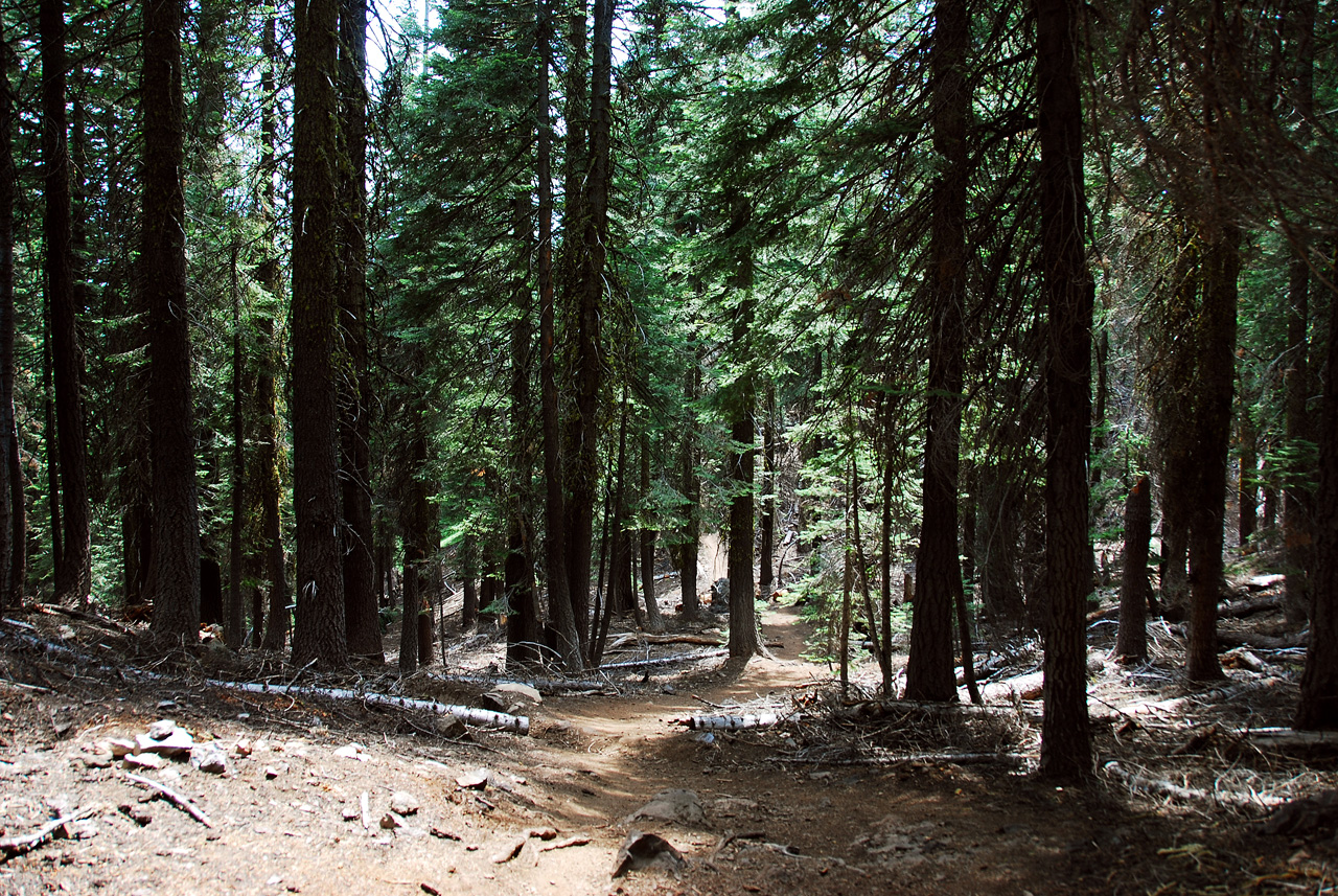 2013-07-02, 039, Mill Creek Falls Trail, CA