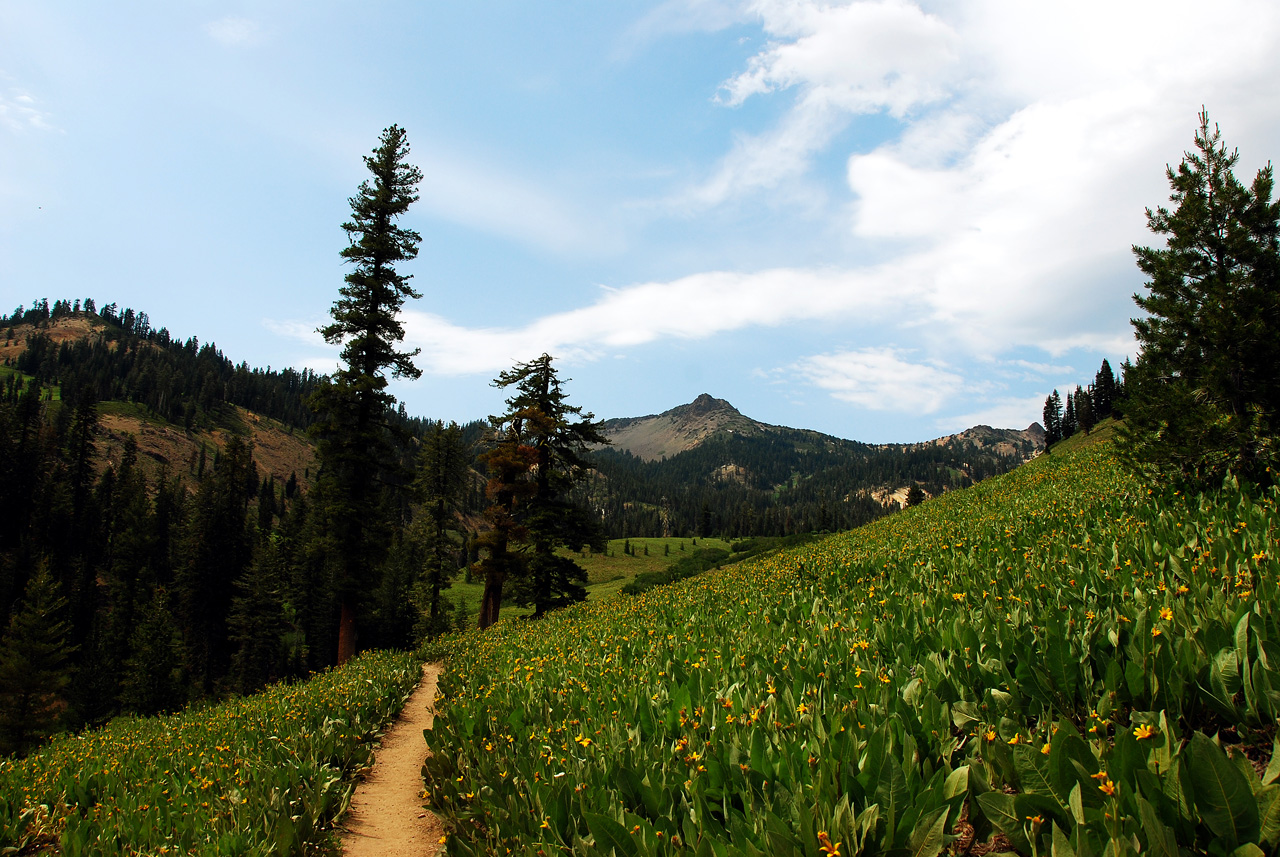 2013-07-02, 046, Mill Creek Falls Trail, CA