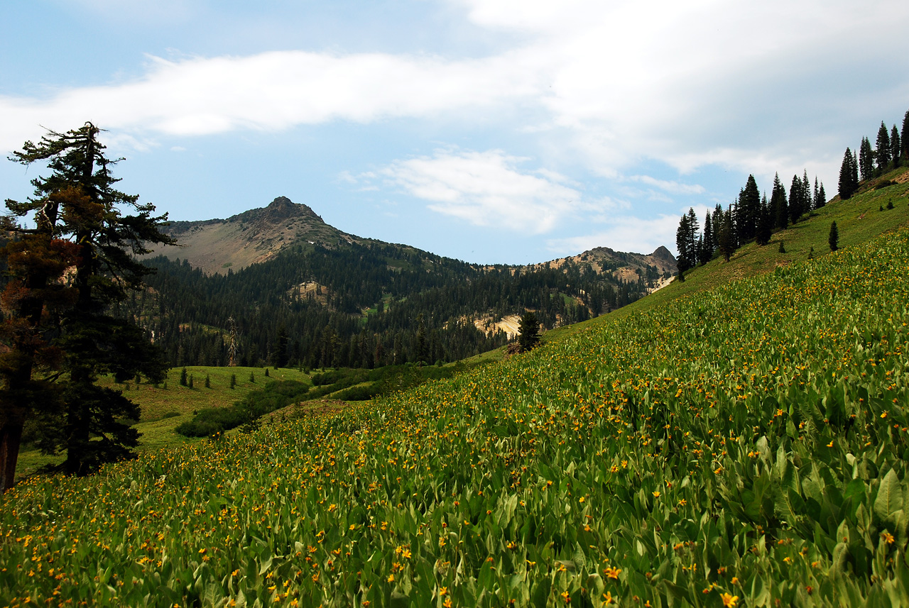 2013-07-02, 047, Mill Creek Falls Trail, CA