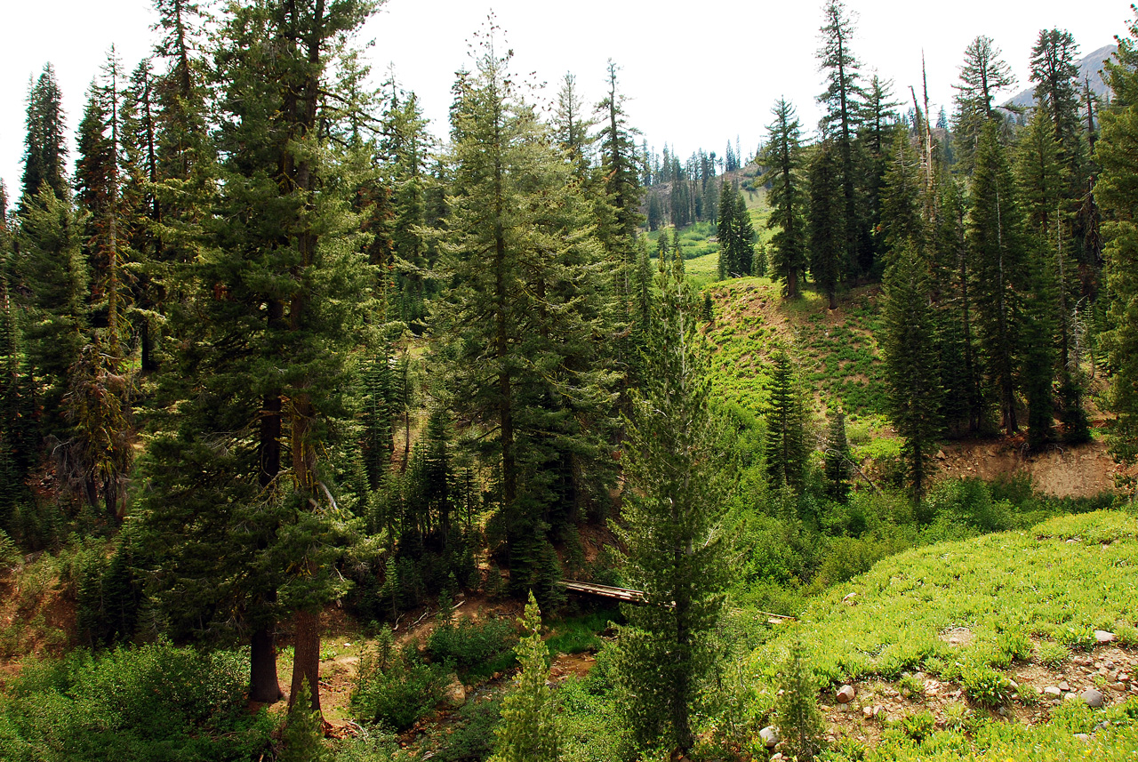 2013-07-02, 048, Mill Creek Falls Trail, CA