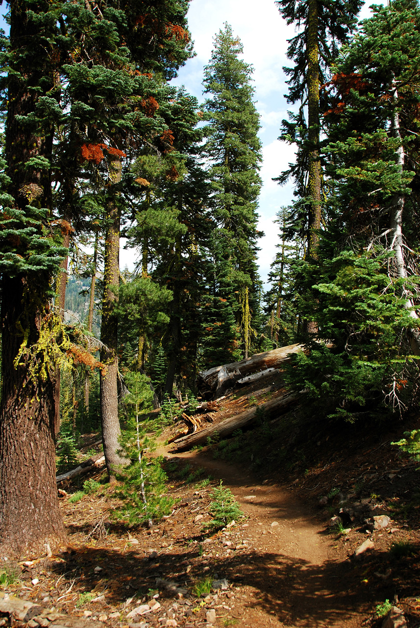 2013-07-02, 049, Mill Creek Falls Trail, CA