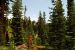 2013-07-02, 002, Mill Creek Falls Trail, CA