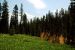 2013-07-02, 005, Mill Creek Falls Trail, CA