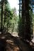 2013-07-02, 013, Mill Creek Falls Trail, CA