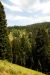 2013-07-02, 014, Mill Creek Falls Trail, CA