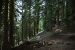 2013-07-02, 038, Mill Creek Falls Trail, CA