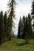 2013-07-02, 043, Mill Creek Falls Trail, CA