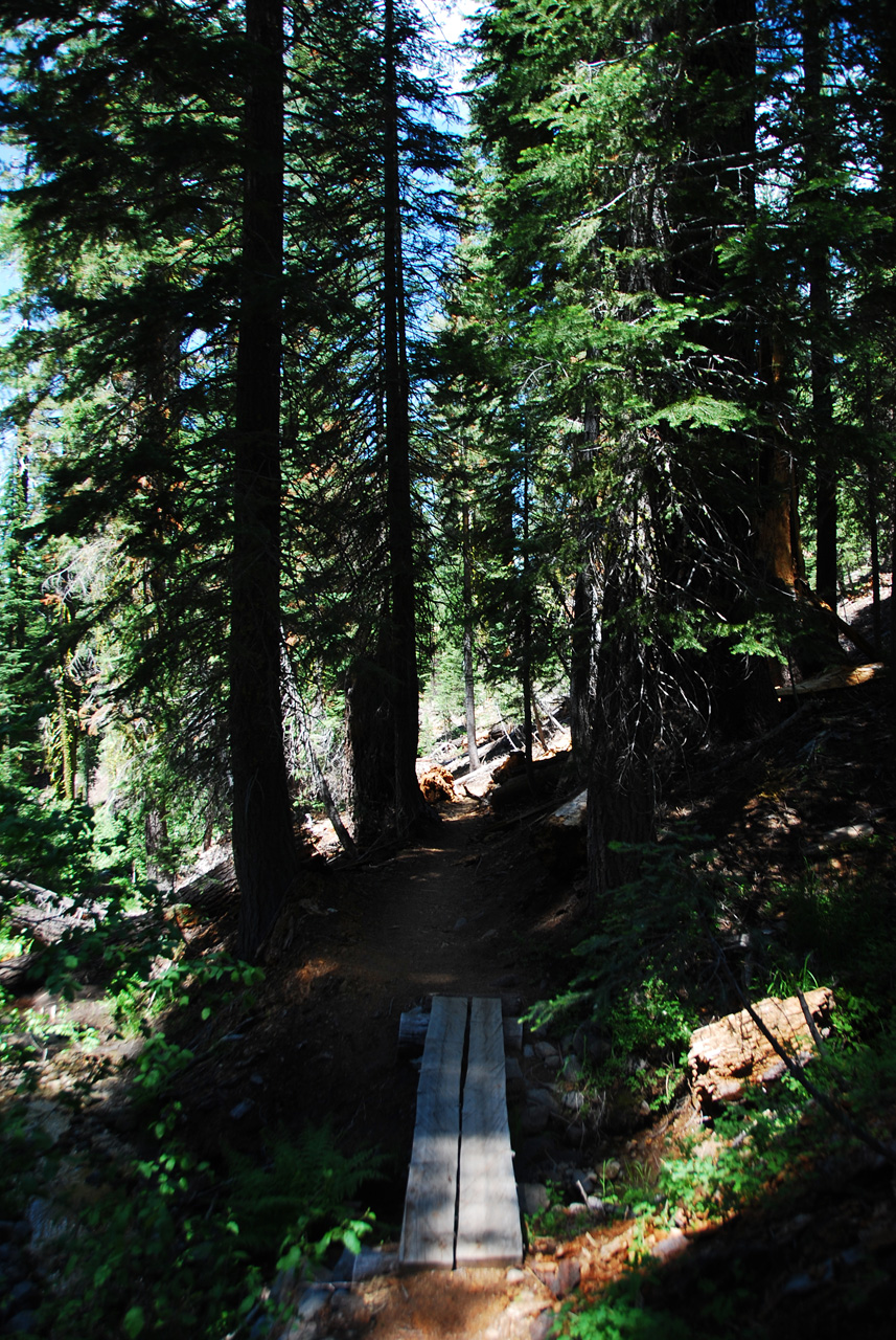 2013-06-30, 002, Paradise Meadow, CA