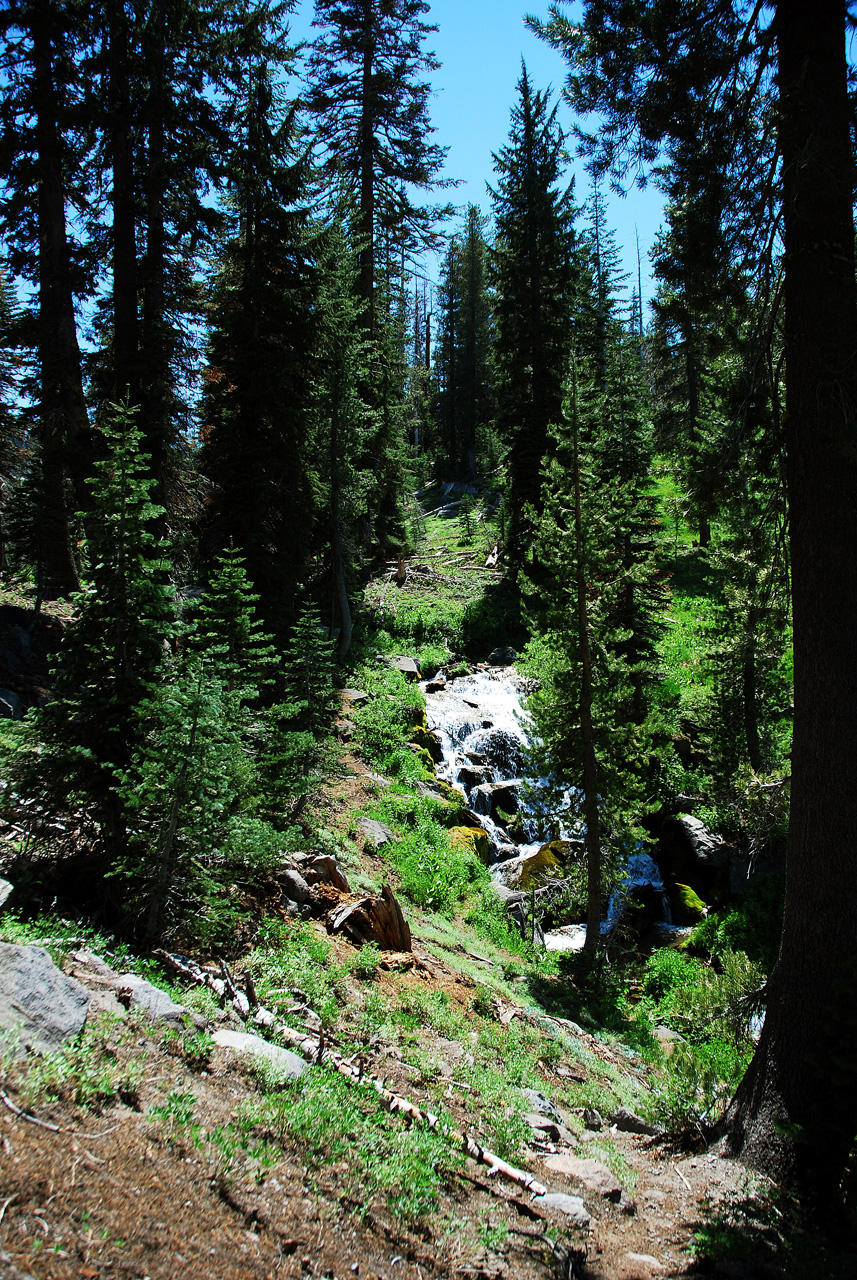 2013-06-30, 008, Paradise Meadow, CA