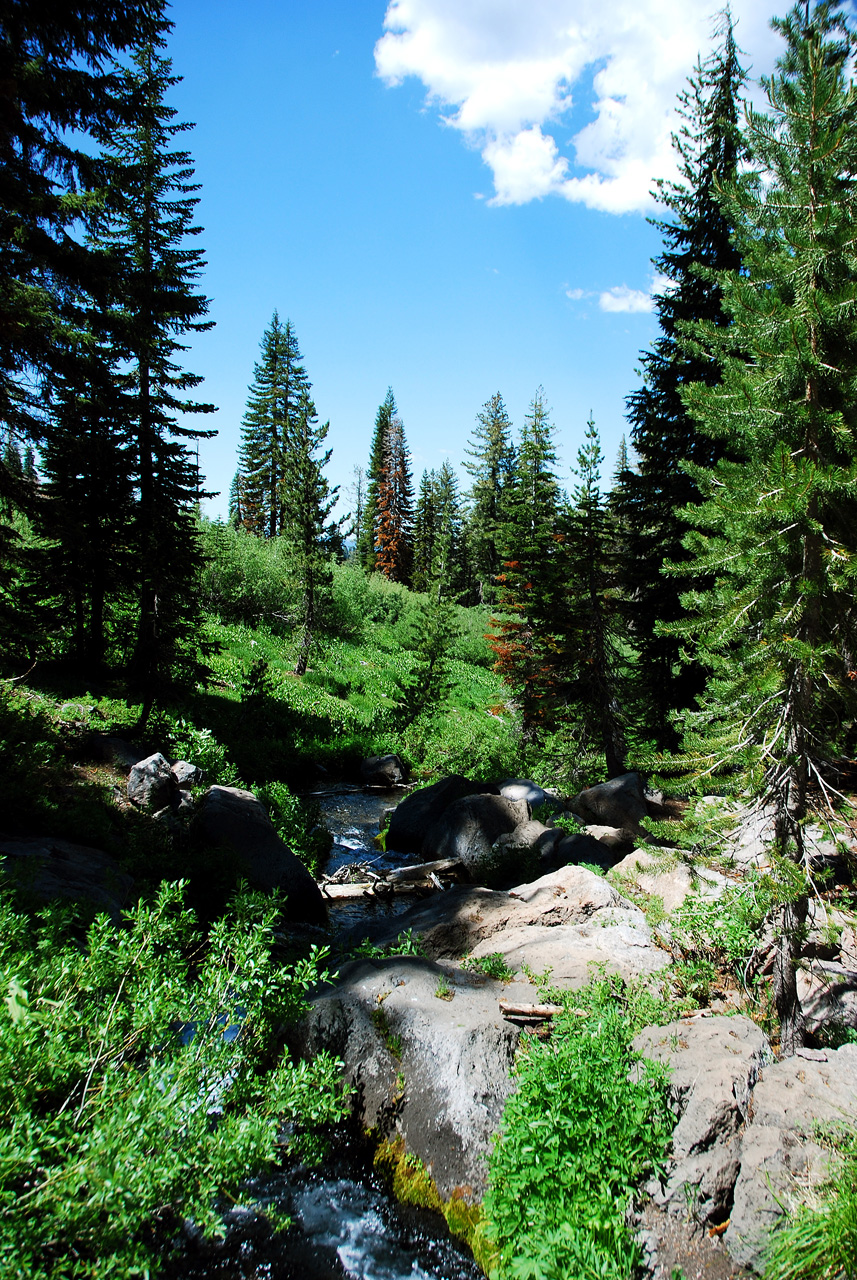 2013-06-30, 010, Paradise Meadow, CA