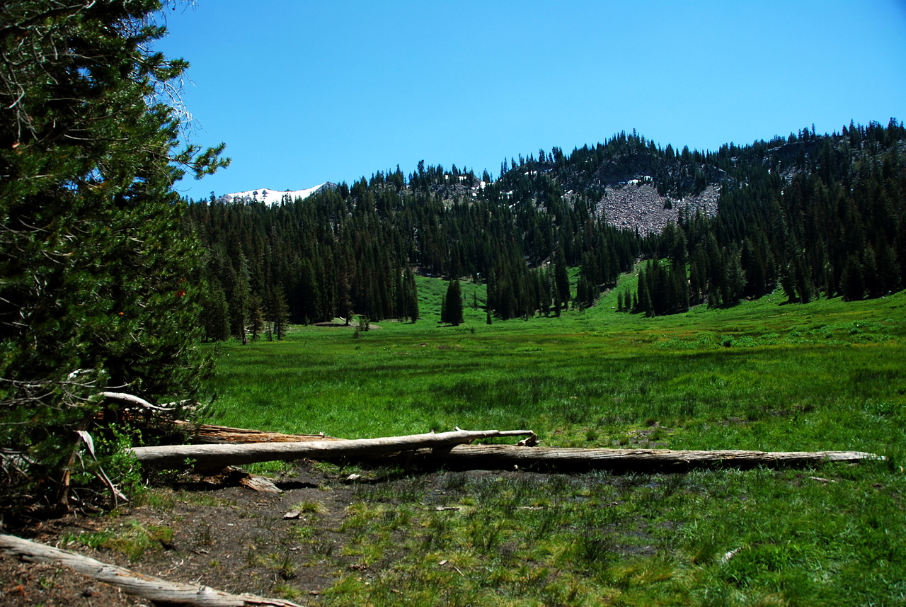 2013-06-30, 014, Paradise Meadow, CA