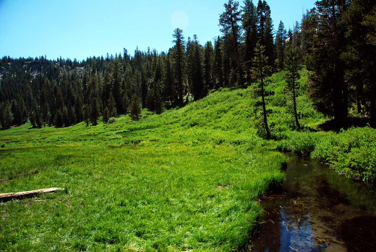 2013-06-30, 015, Paradise Meadow, CA