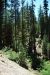 2013-06-30, 003, Paradise Meadow, CA