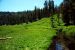 2013-06-30, 015, Paradise Meadow, CA