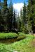 2013-06-30, 017, Paradise Meadow, CA