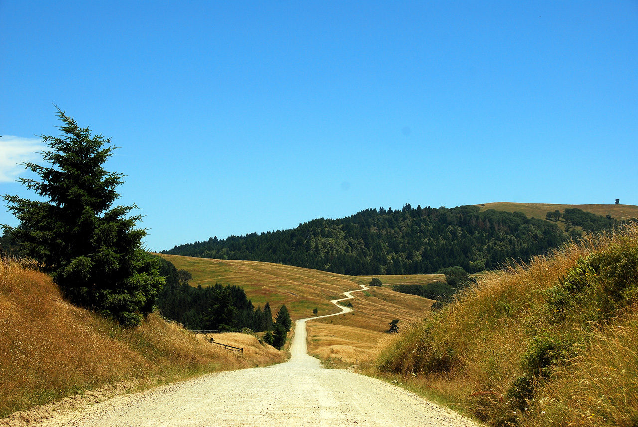 2013-07-08, 004, Along Bald Hills Rd, Redwood NP, CA