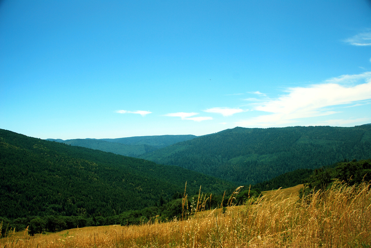 2013-07-08, 011, Along Bald Hills Rd, Redwood NP, CA