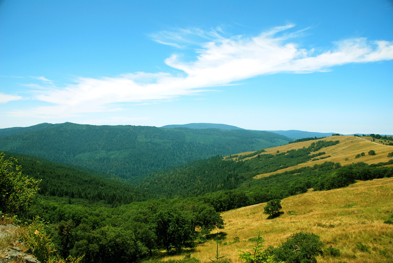 2013-07-08, 013, Along Bald Hills Rd, Redwood NP, CA