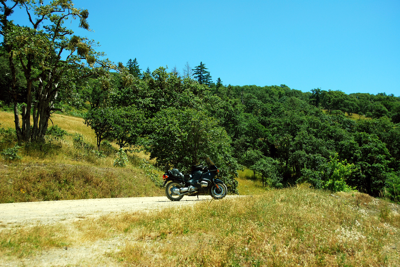 2013-07-08, 014, Along Bald Hills Rd, Redwood NP, CA