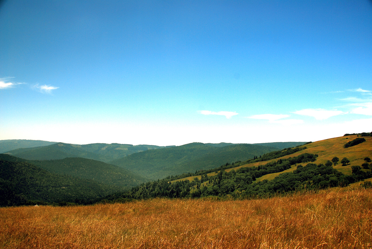 2013-07-08, 015, Along Bald Hills Rd, Redwood NP, CA