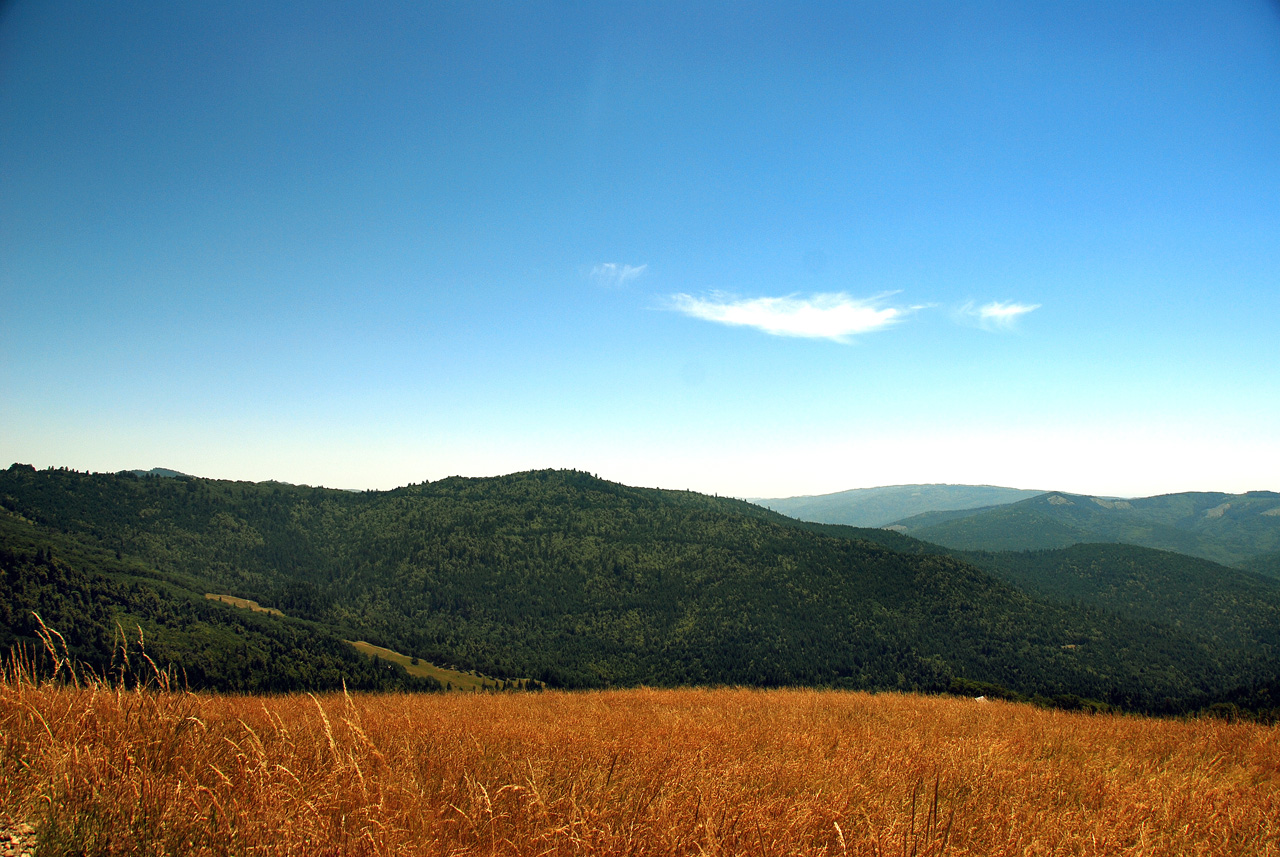 2013-07-08, 016, Along Bald Hills Rd, Redwood NP, CA