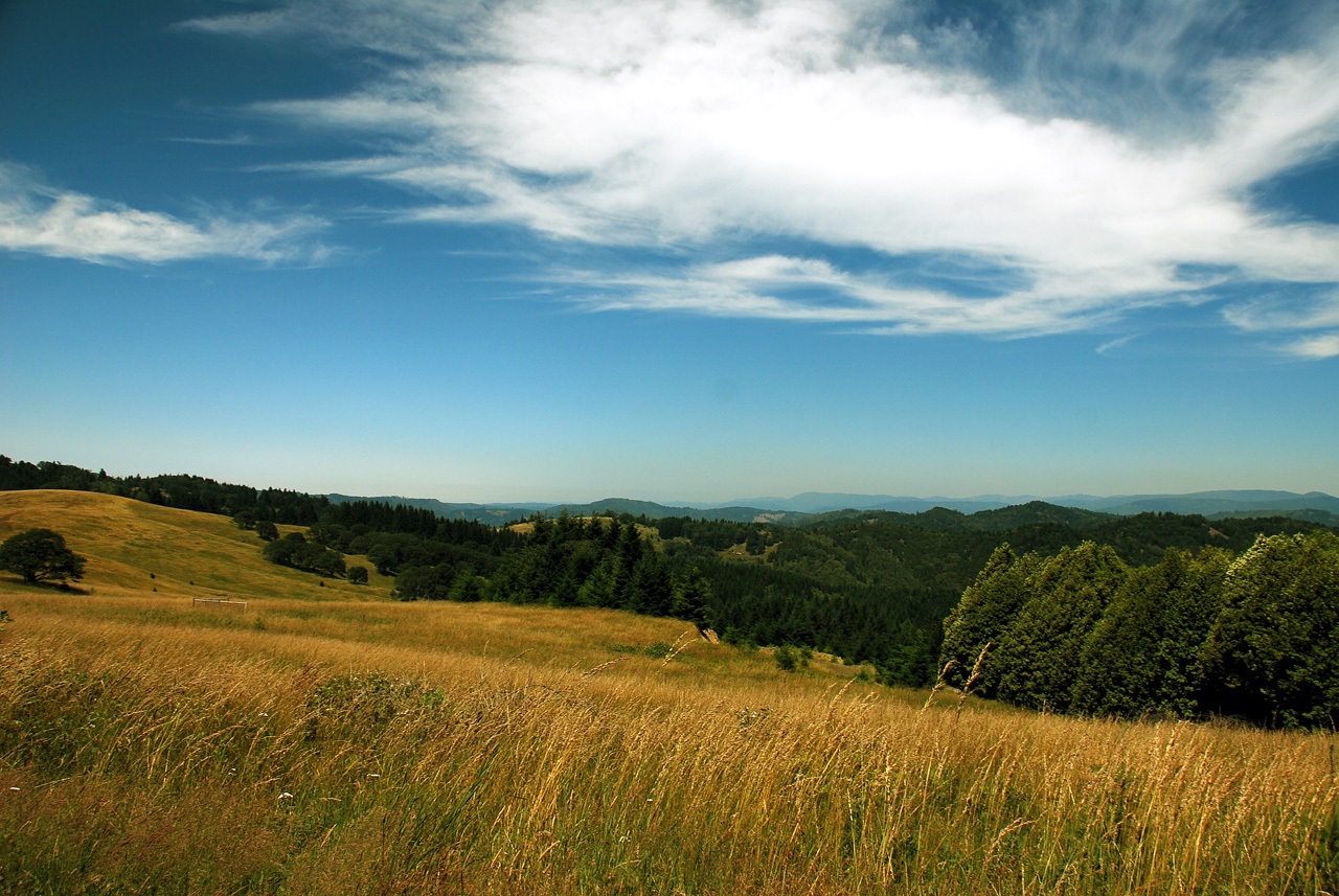 2013-07-08, 018, Along Bald Hills Rd, Redwood NP, CA