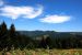 2013-07-08, 002, Along Bald Hills Rd, Redwood NP, CA