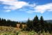 2013-07-08, 003, Along Bald Hills Rd, Redwood NP, CA