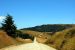 2013-07-08, 004, Along Bald Hills Rd, Redwood NP, CA