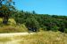 2013-07-08, 014, Along Bald Hills Rd, Redwood NP, CA