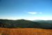 2013-07-08, 016, Along Bald Hills Rd, Redwood NP, CA