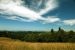 2013-07-08, 017, Along Bald Hills Rd, Redwood NP, CA