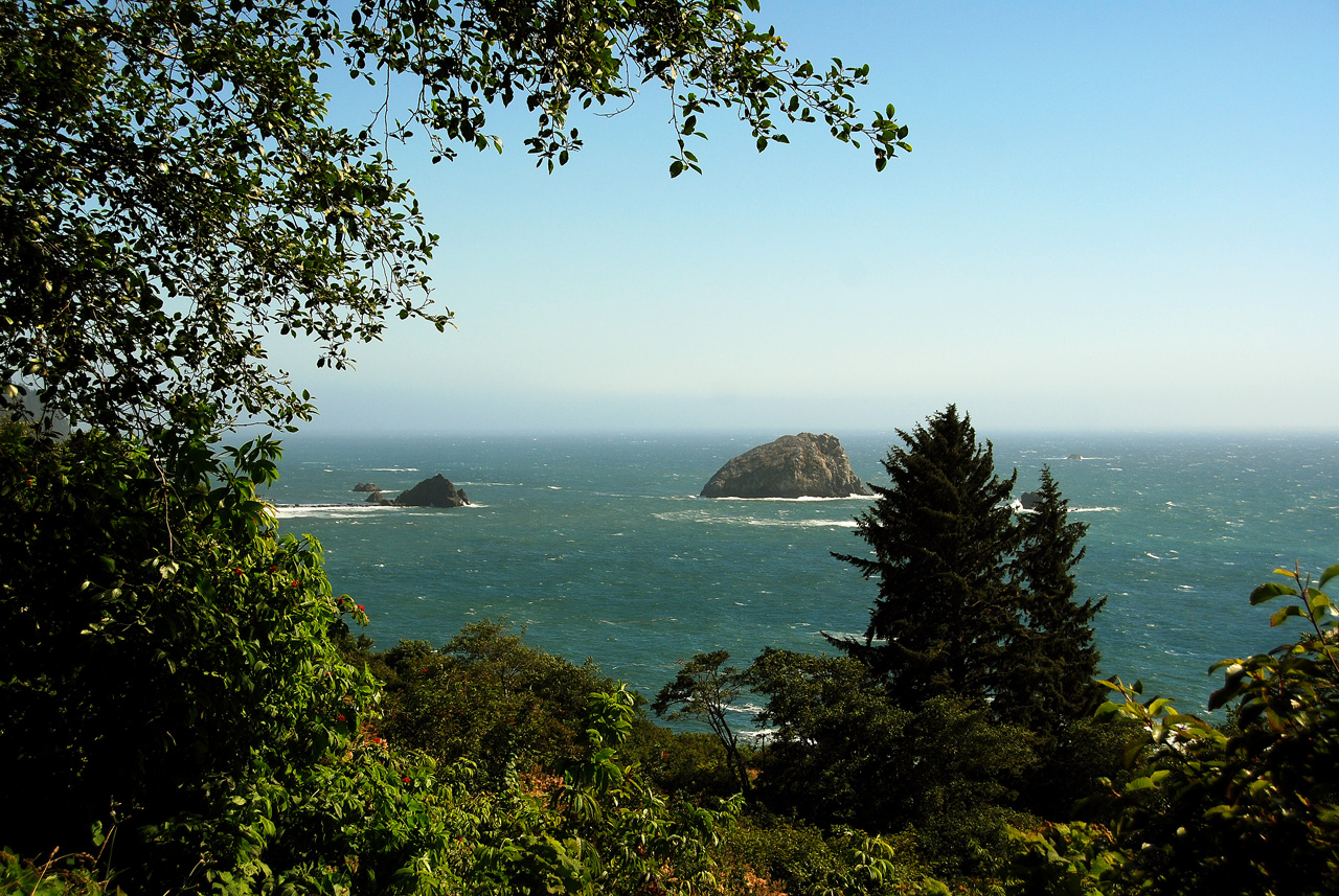 2013-07-05, 002, Beach along RT 101, Redwoods NP, CA