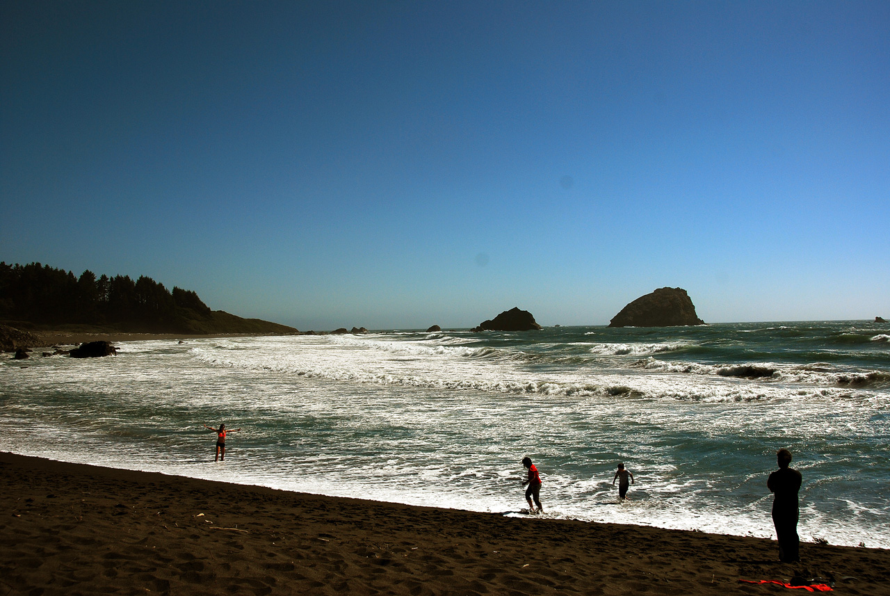 2013-07-05, 006, Beach along RT 101, Redwoods NP, CA