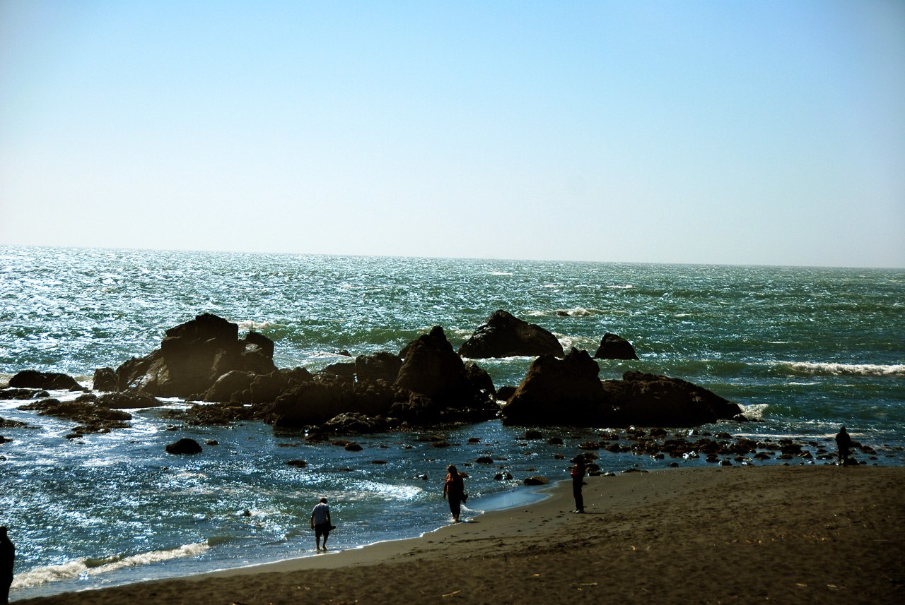 2013-07-05, 009, Beach along RT 101, Redwoods NP, CA