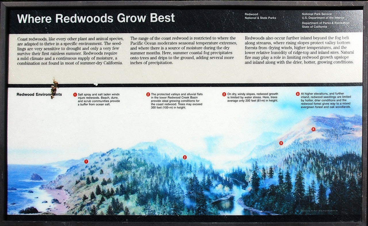 2013-07-08, 002, Redwood Creek Overlook, Redwood NP, CA